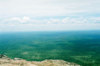 The Cambodian jungles looking south from the top of Preah Vihear
