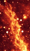 DNA Nebula