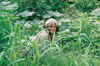 village woman sitting in the grass.